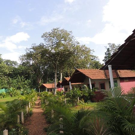 Dandeli - Jungle Nest Apartment Sangave Ngoại thất bức ảnh