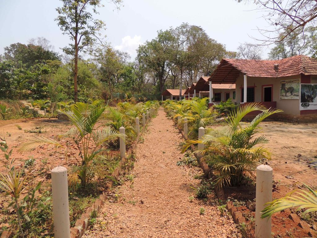 Dandeli - Jungle Nest Apartment Sangave Ngoại thất bức ảnh