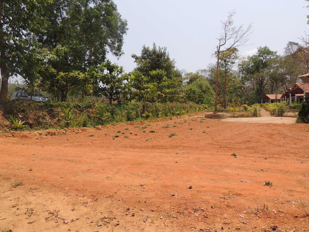 Dandeli - Jungle Nest Apartment Sangave Ngoại thất bức ảnh