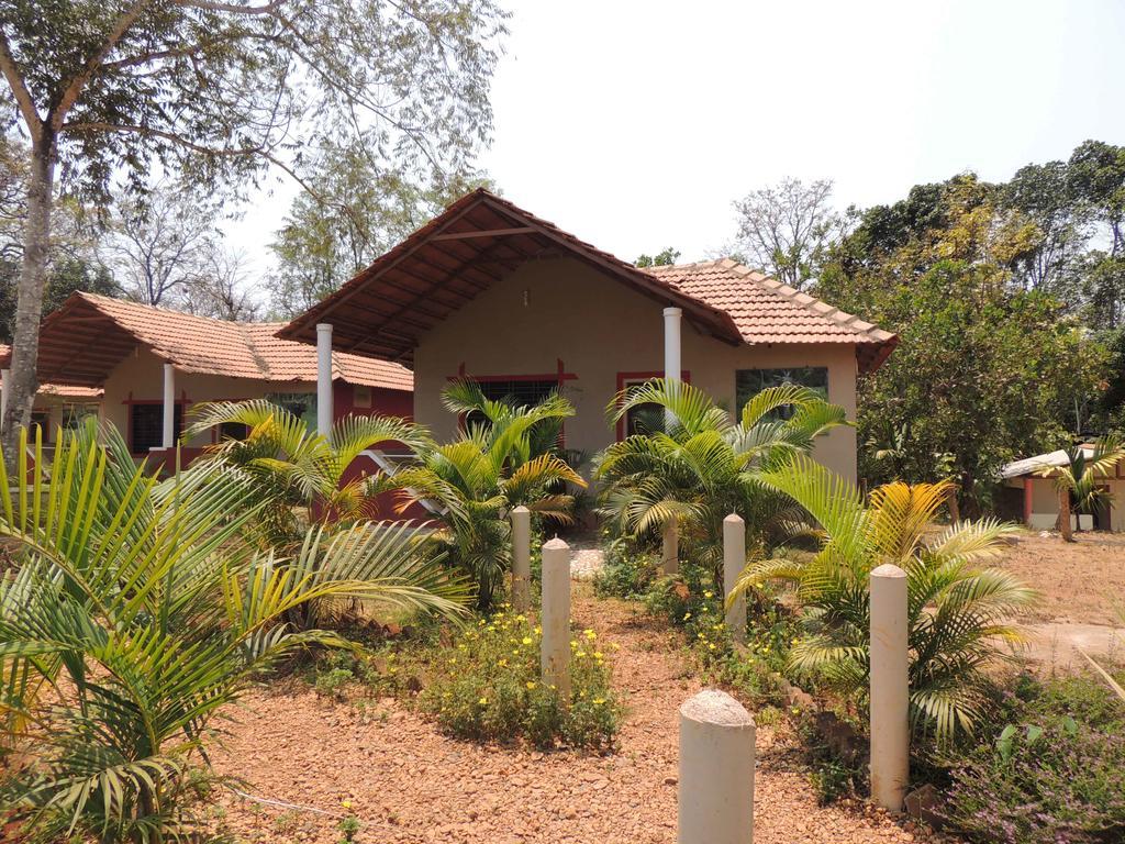 Dandeli - Jungle Nest Apartment Sangave Ngoại thất bức ảnh