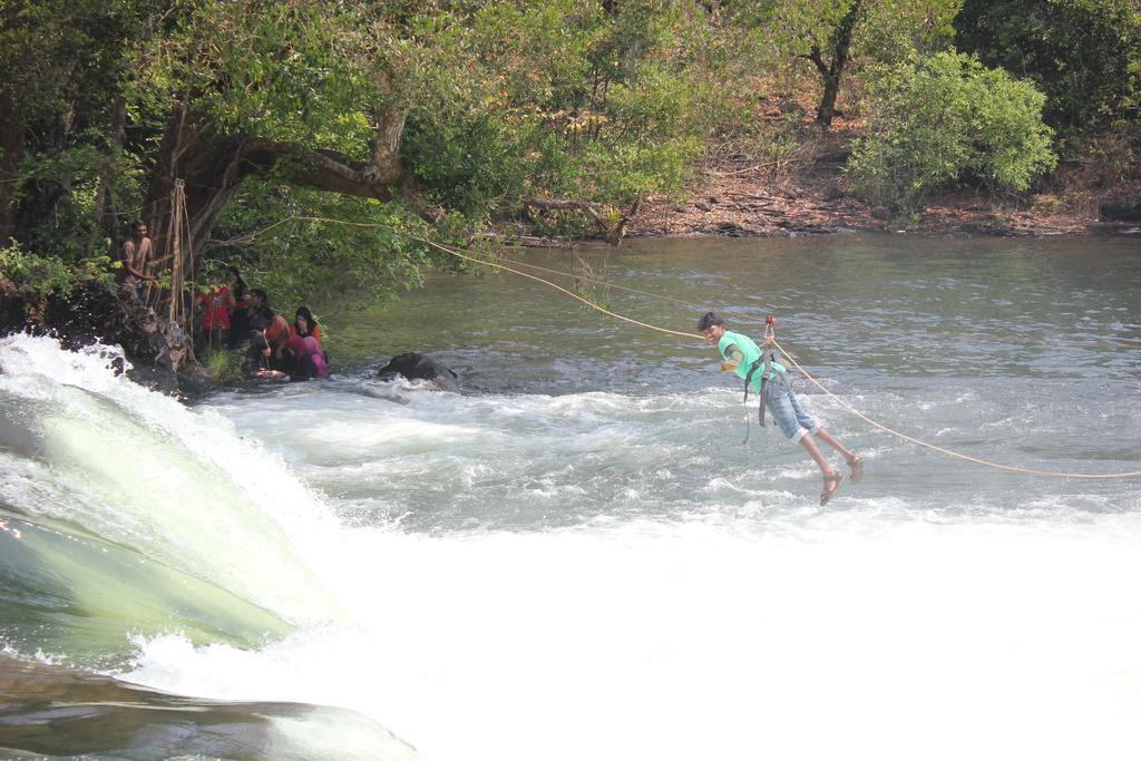 Dandeli - Jungle Nest Apartment Sangave Ngoại thất bức ảnh