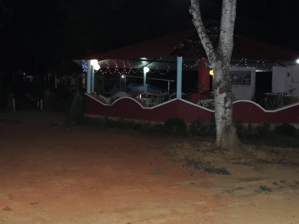 Dandeli - Jungle Nest Apartment Sangave Ngoại thất bức ảnh