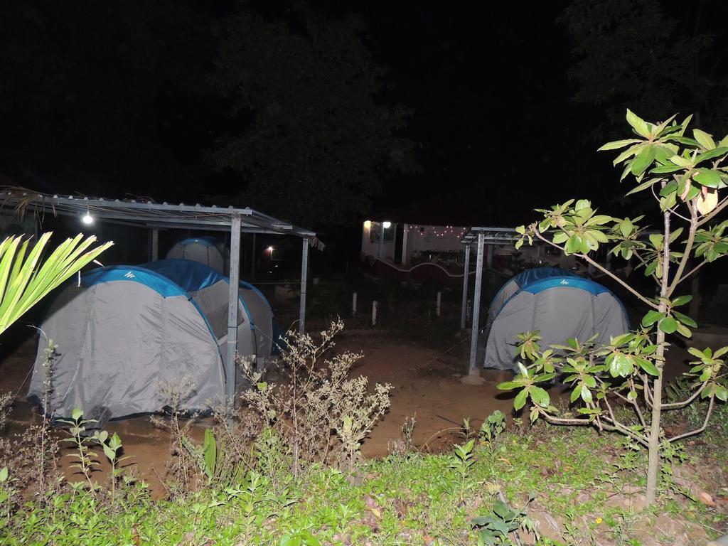 Dandeli - Jungle Nest Apartment Sangave Ngoại thất bức ảnh
