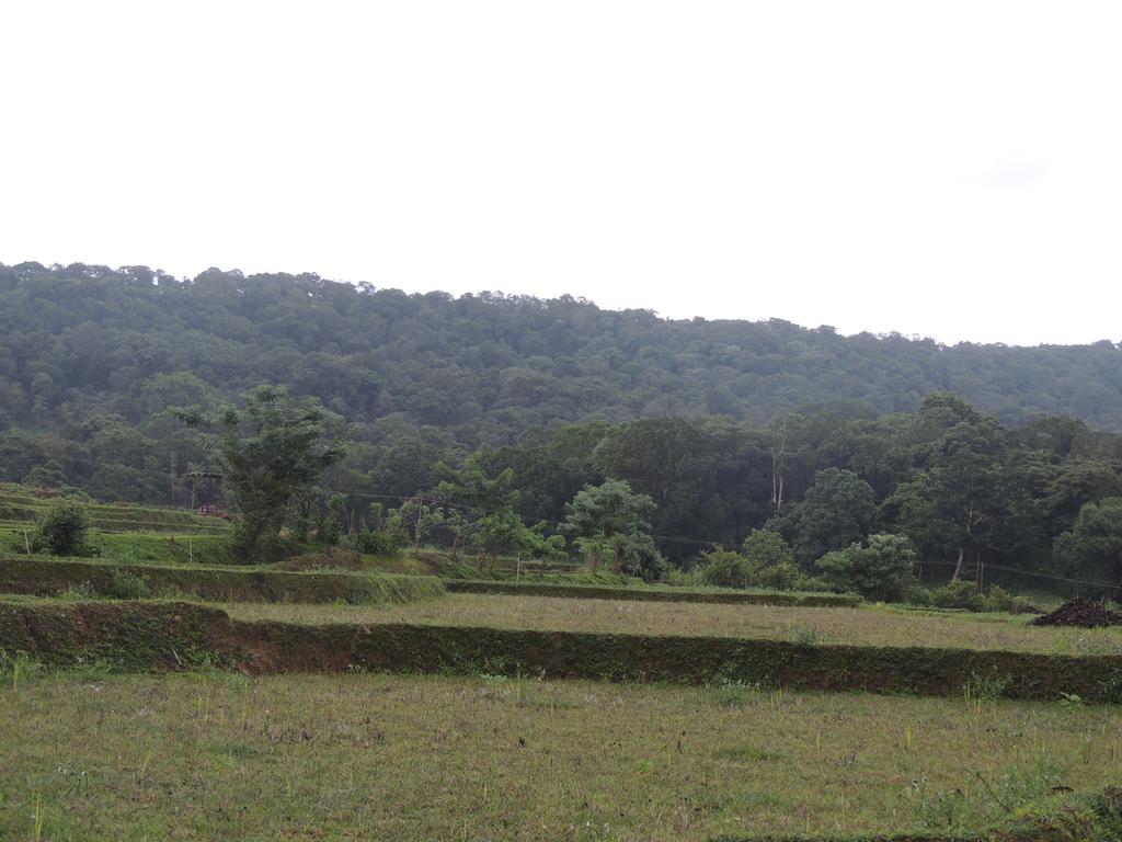Dandeli - Jungle Nest Apartment Sangave Ngoại thất bức ảnh