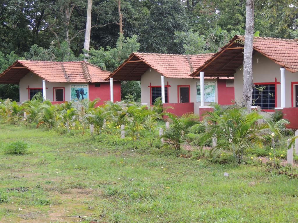 Dandeli - Jungle Nest Apartment Sangave Ngoại thất bức ảnh
