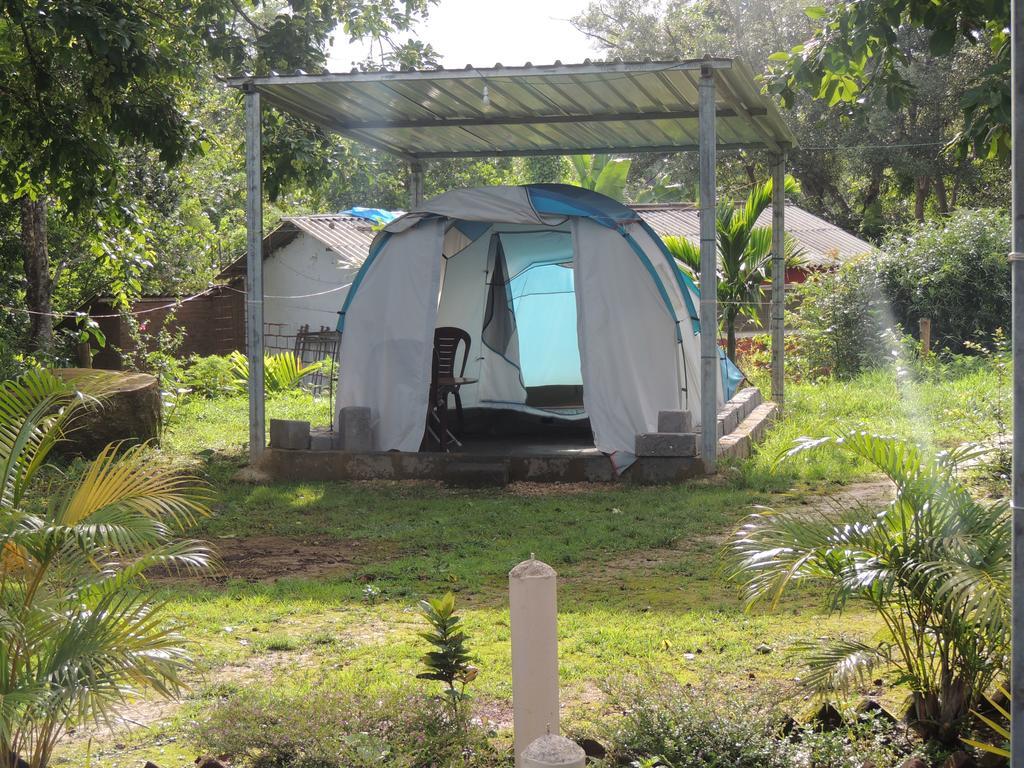 Dandeli - Jungle Nest Apartment Sangave Ngoại thất bức ảnh