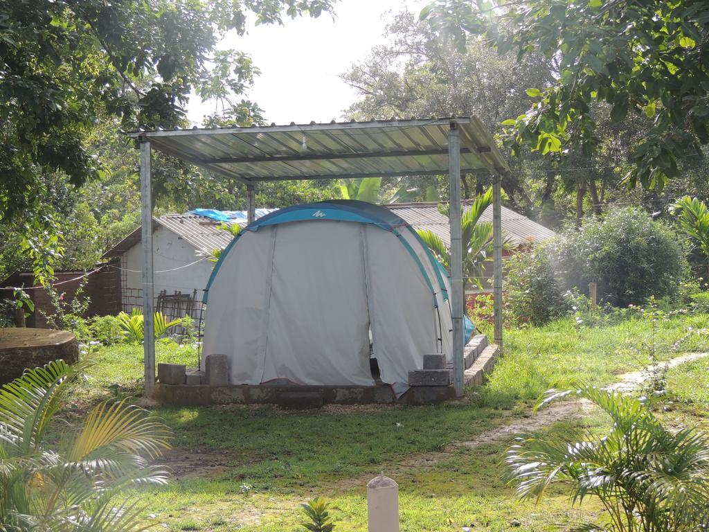 Dandeli - Jungle Nest Apartment Sangave Ngoại thất bức ảnh