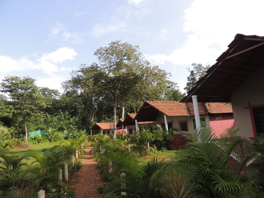 Dandeli - Jungle Nest Apartment Sangave Ngoại thất bức ảnh