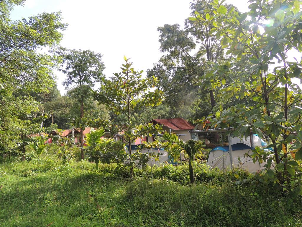 Dandeli - Jungle Nest Apartment Sangave Ngoại thất bức ảnh