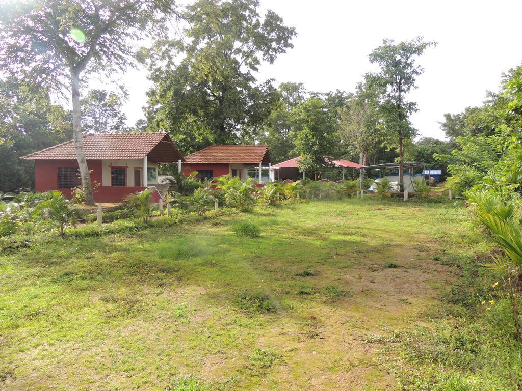 Dandeli - Jungle Nest Apartment Sangave Ngoại thất bức ảnh