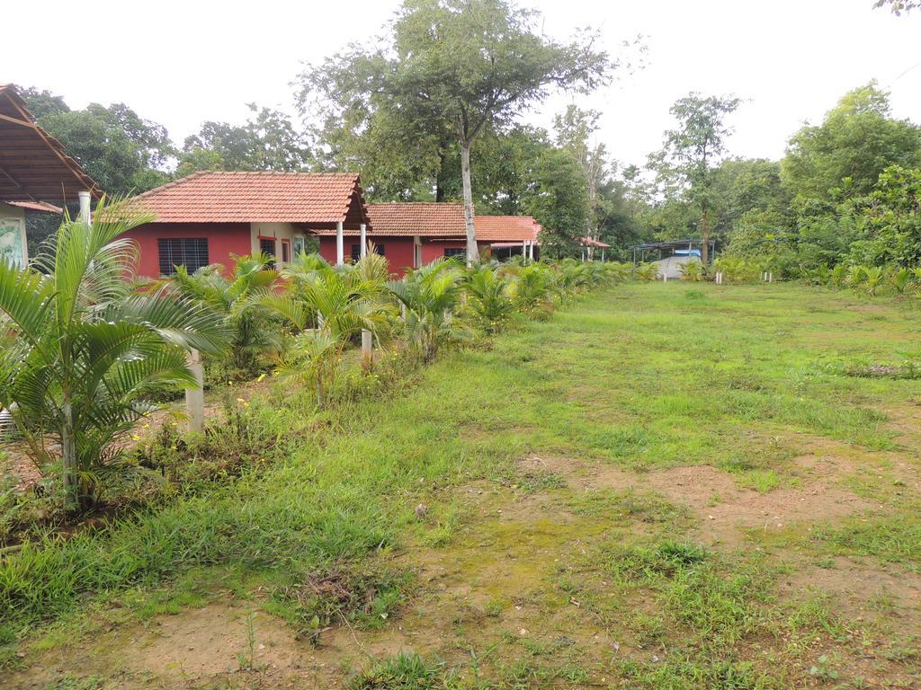 Dandeli - Jungle Nest Apartment Sangave Ngoại thất bức ảnh