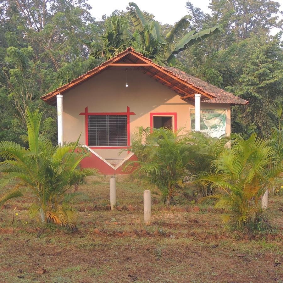 Dandeli - Jungle Nest Apartment Sangave Ngoại thất bức ảnh